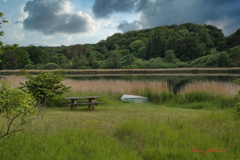 kalvø natur 