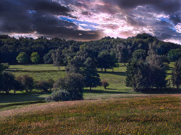 Natur Billedet