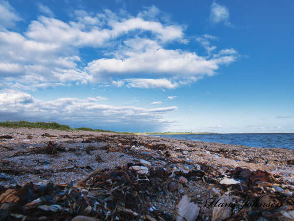 Keldstrup strand