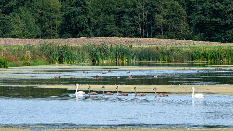 Familie udflugt