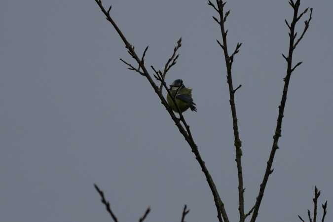 Med vinden i ryggen. Haraldskær Vejle