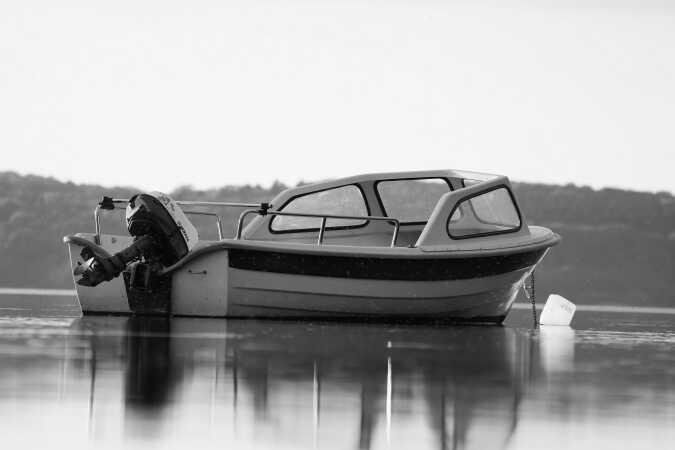 Insekter ved Mose sø 