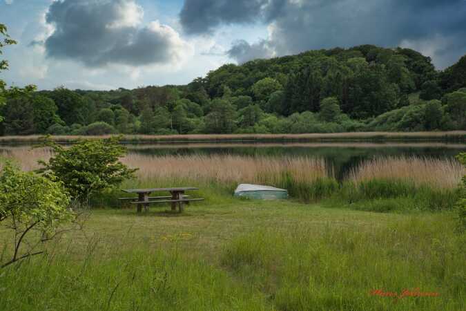 kalvø natur 