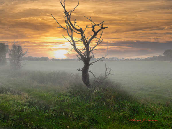 Mogen tur på Årø, dis  over marken