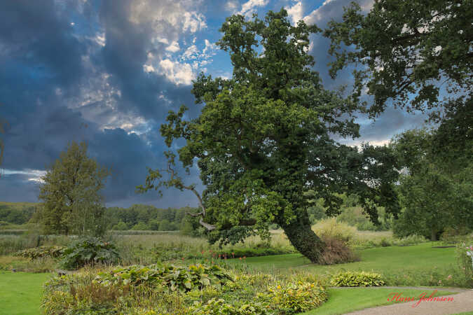 Gråsten slotshave  på en gråversdag
