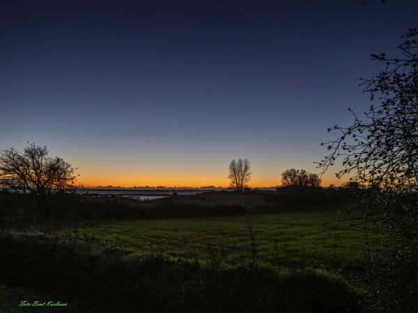 2025 nov 17 poppel blå gyldne time Halk skydeterræn (3)