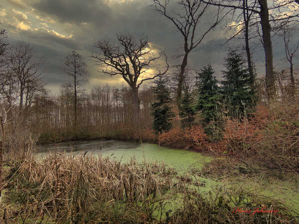 på en gå tur i Starup