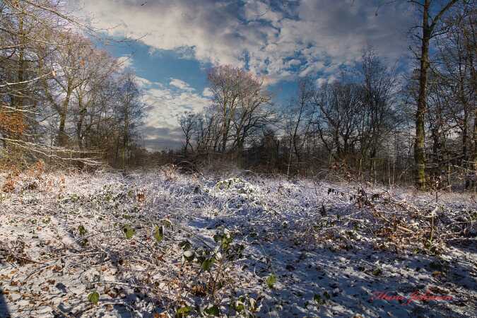 et vintermotiv fra mit Akiv