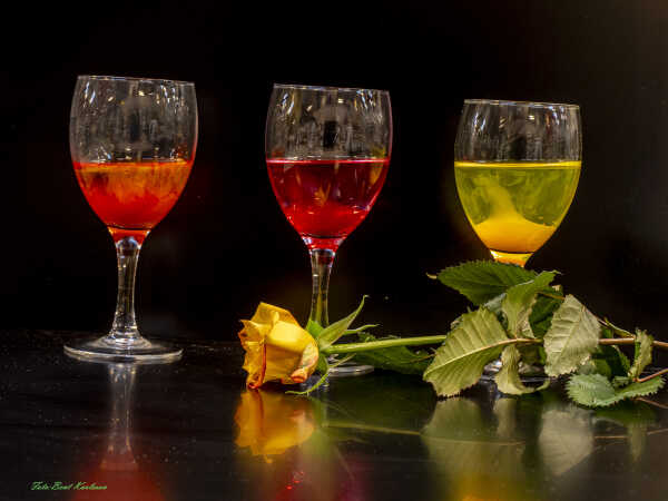 2026 feb 07 glas trefarvet rose Akvastabil (3)