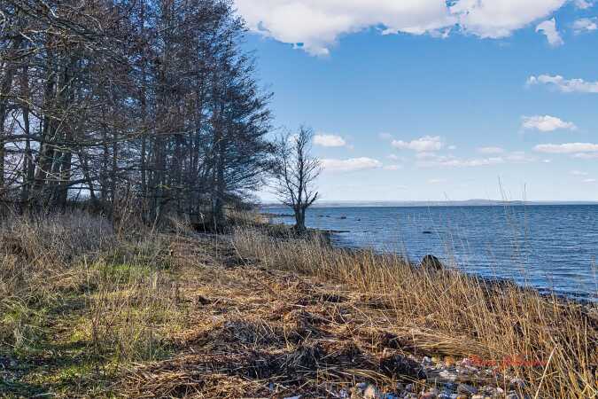 Flot natur ved Årøsund