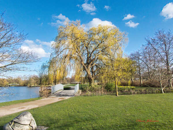 En flot dag i Damparken