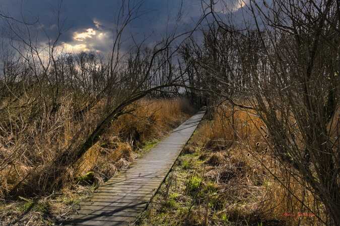 Hygge stund ved Årøsund 