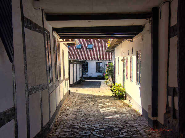 Ribe