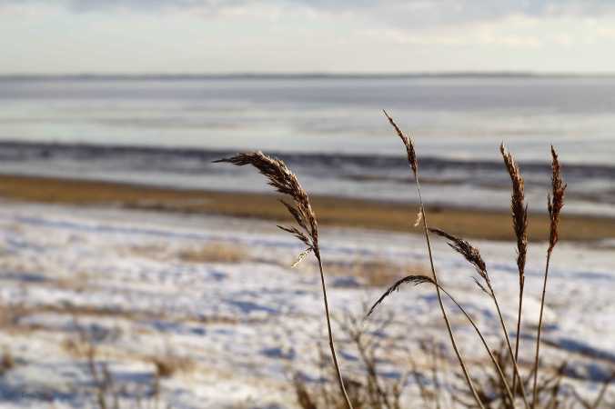 Sjælborg Strand