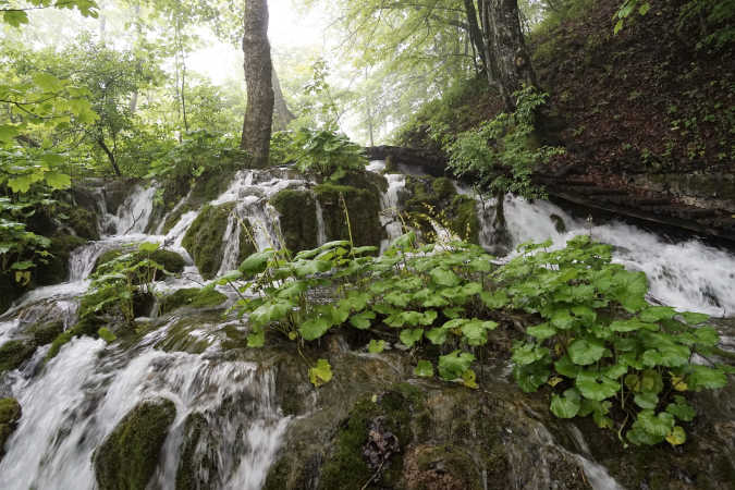 Plitvicka Jezera Croatia