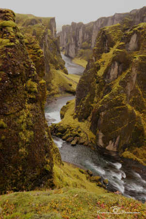 Fjaðrárgljúfur Canyon 