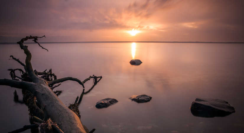 Silence at the coast