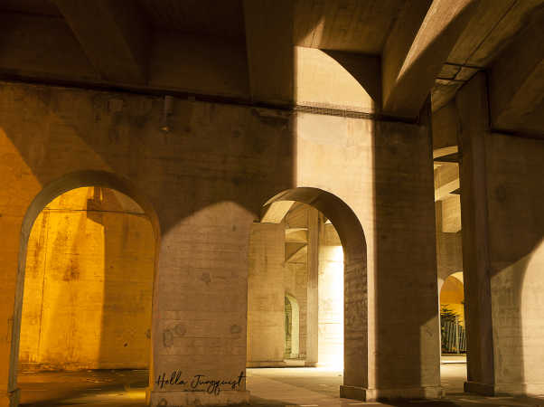 Kong Christian X. bro