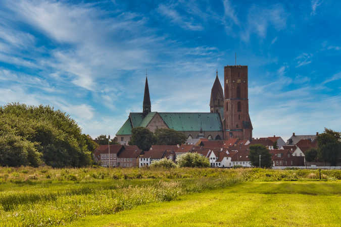 Ribe domkirke.