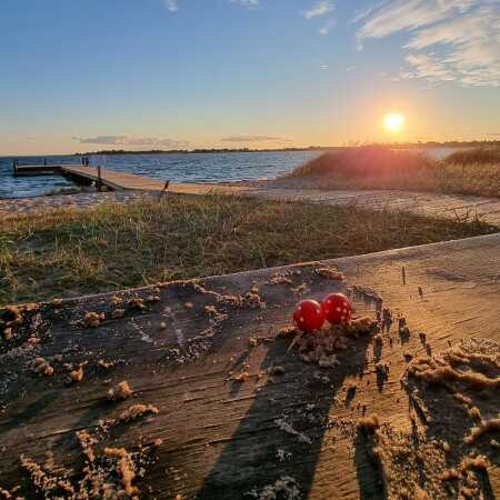 IMG_20220831_125556_974